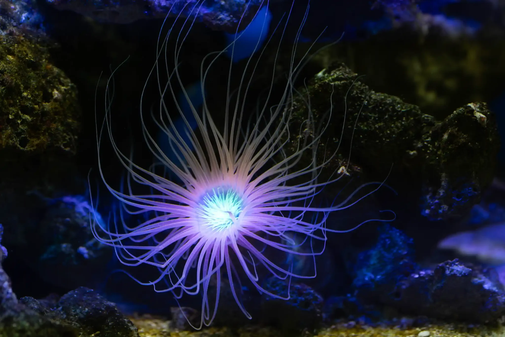 Underwater